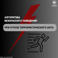 Алгоритмы безопасного поведения Алгоритмы безопасного поведения.