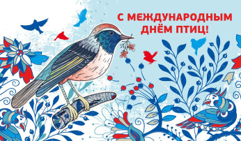 МЕЖДУНАРОДНЫЙ ДЕНЬ ПТИЦ МЕЖДУНАРОДНЫЙ ДЕНЬ ПТИЦ.